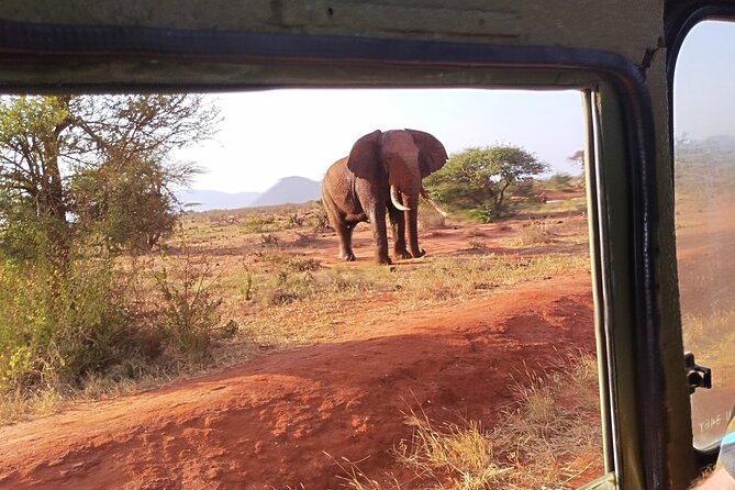 3 Days Tsavo East + Taita hills/Saltlick lodge from Malindi - Questions to settle before leaving Malindi