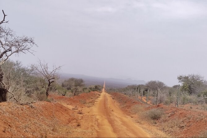 3 Days Tsavo East + Taita hills/Saltlick lodge from Malindi - Tsavo East on day one: red soil and wide-open game viewing