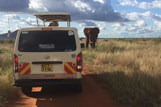 3 Days Tsavo East & West Safari from Diani Beach Mombasa - Key points about this Tsavo safari