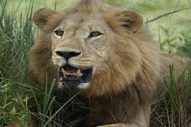 3 Days Tsavo East & West Safari from Diani Beach Mombasa - The early road from Diani to Tsavo East