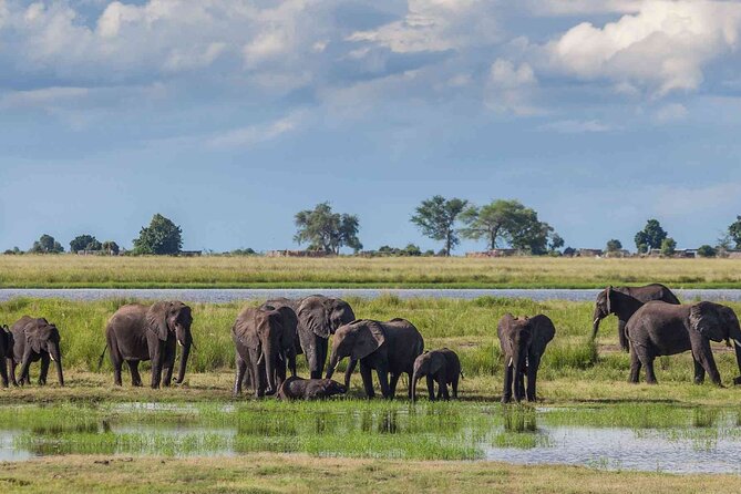 3 Days Unforgettable Masai Mara Safari Tour - Nairobi to the Mara: a long first day with good scenery
