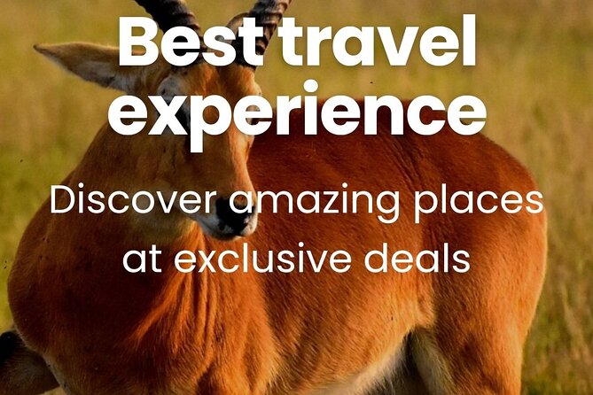 3 Days Unforgettable Masai Mara Safari Tour - Day 3: one last drive, then back to Nairobi