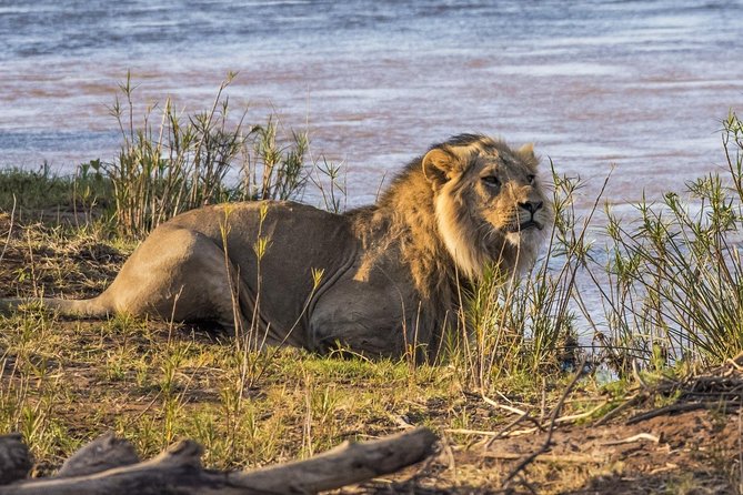 3 nights exclusive Masai Mara safari - How personal is the safari?