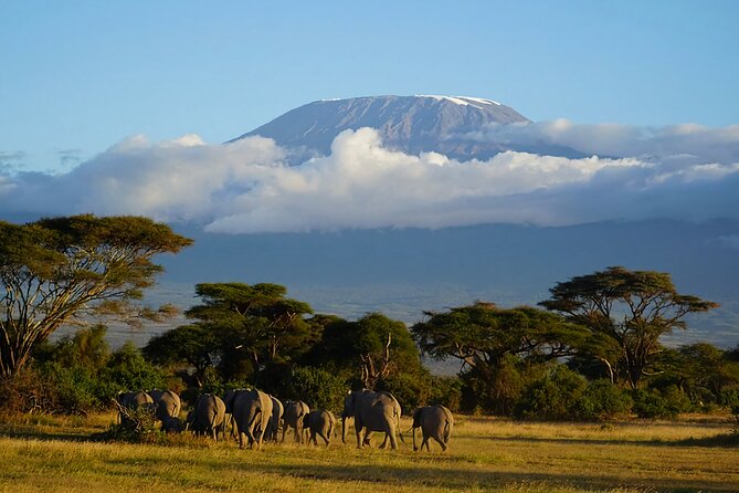 3day Amboseli Park Private safari - Observation Hill and the optional Maasai village