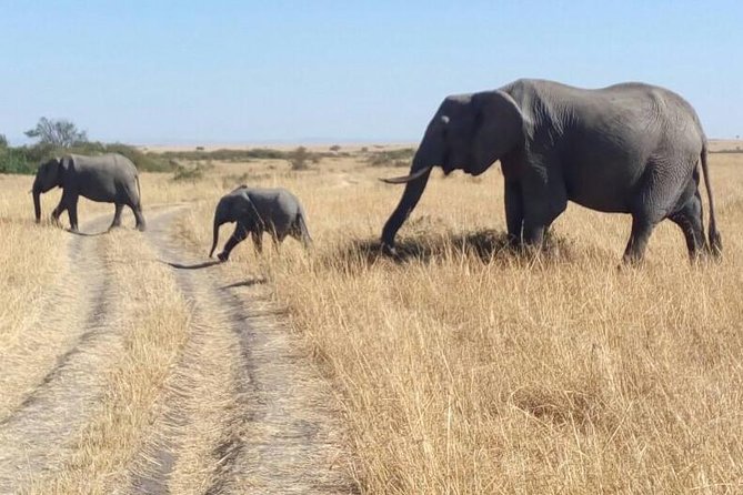 3days/2nights group joining Masai Mara with Masai Village Visit - Leaving Nairobi for the Masai Mara