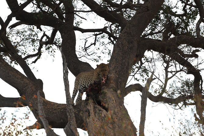3days/2nights group joining Masai Mara with Masai Village Visit - The Maasai village visit on day three