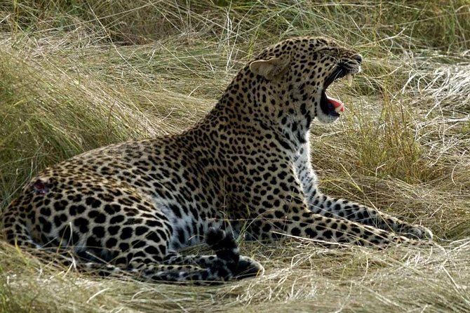 3days/2nights group joining Masai Mara with Masai Village Visit - What the $256 price really covers