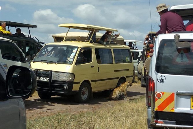 3days/2nights group joining Masai Mara with Masai Village Visit - Who this safari suits best