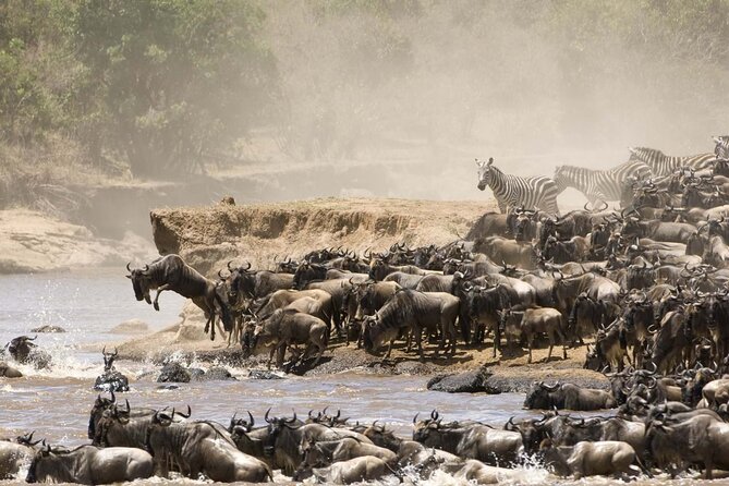 3days/2nights group joining Masai Mara with Masai Village Visit - Practical advice for getting more from the three days