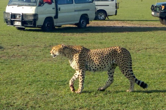 3Days 2nights Masai Mara group joining safari - Key points to know before booking
