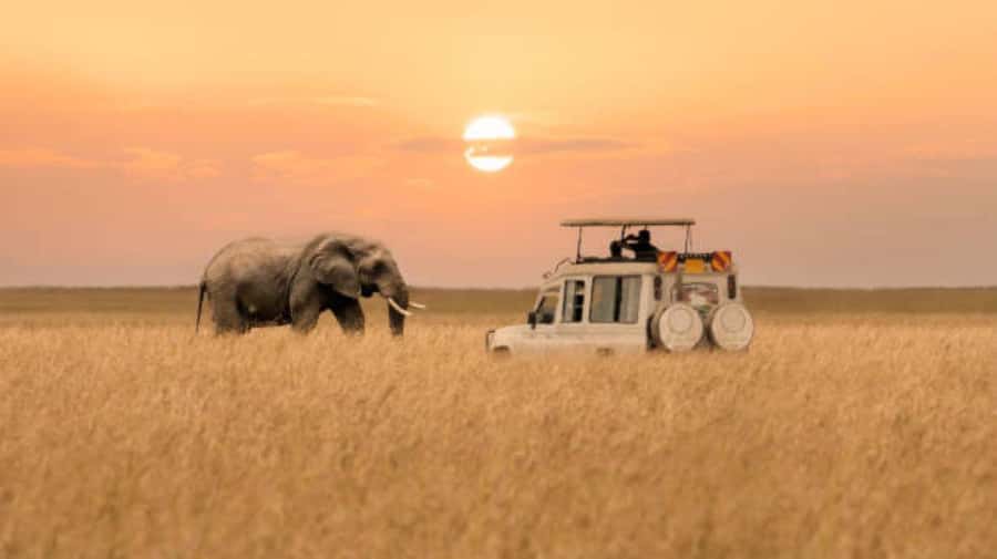 3Days Group Joining Safari to Maasai Mara from Nairobi - Key points before you book