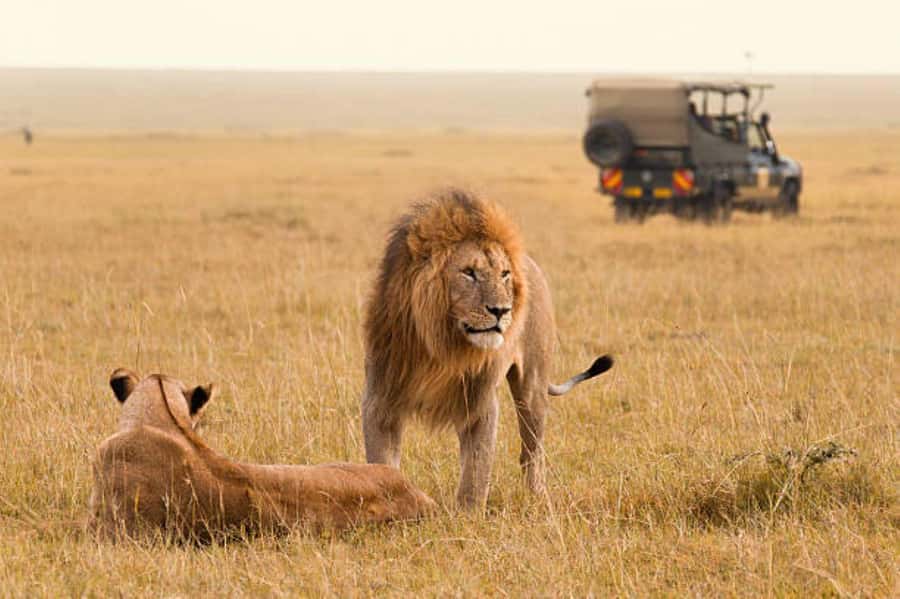 3Days Group Joining Safari to Maasai Mara from Nairobi - The first Mara sighting at 4 pm