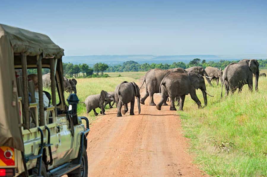 3Days Group Joining Safari to Maasai Mara from Nairobi - A full day among lions, elephants, hippos, and crocodiles