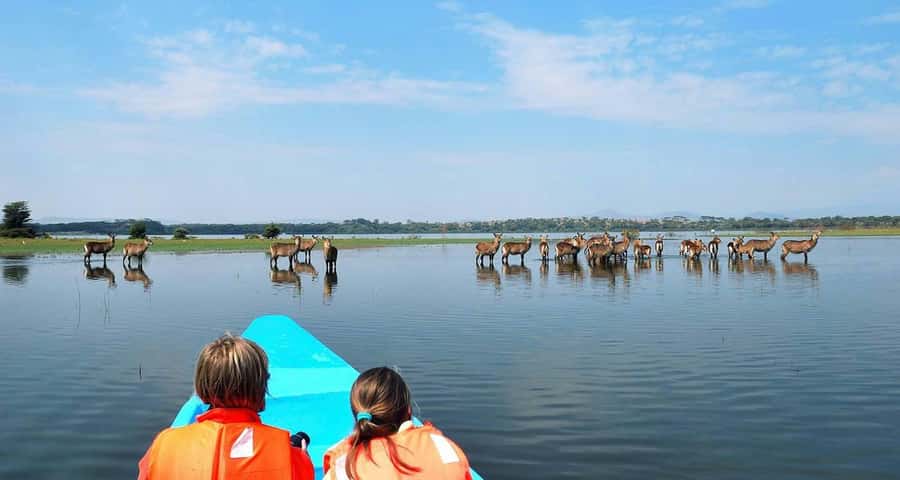 3Days Masai Mara & Naivasha Boat ride Group Joining Camping - Key points at a glance