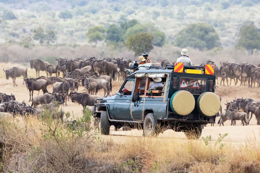 3Days Masai Mara & Naivasha Boat ride Group Joining Camping - Day 2: A full day among Mara wildlife