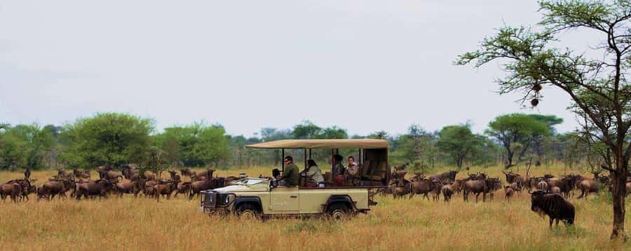 3Days Masai Mara & Naivasha Boat ride Group Joining Camping - What the $495 price really means