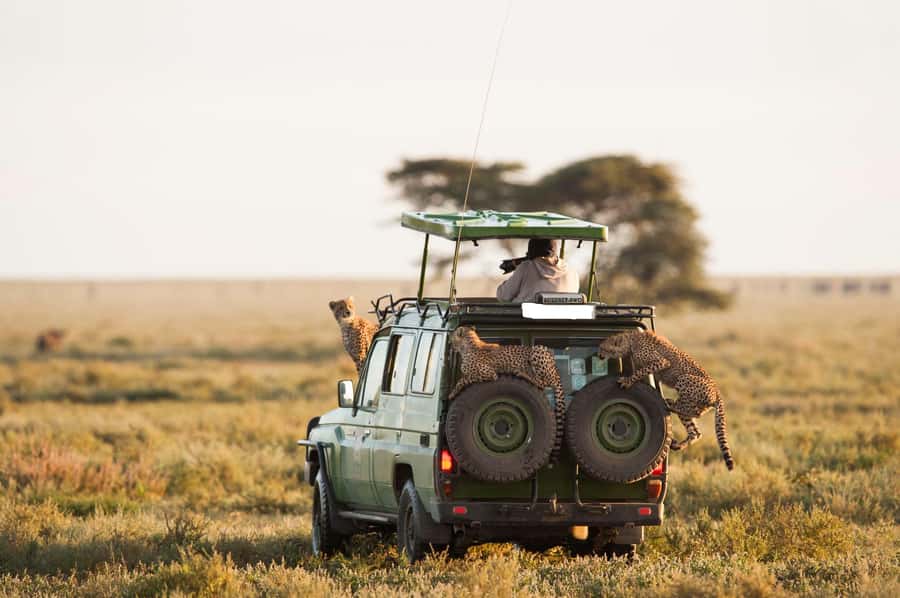 3Days Masai Mara & Naivasha Boat ride Group Joining Camping - Should you book the Masai Mara and Naivasha trip?