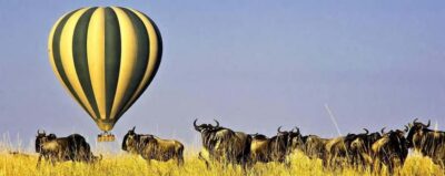 3Days Masai Mara Safari with Hot Air Balloon Ride Experience
