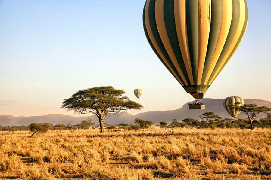 3Days Masai Mara Safari with Hot Air Balloon Ride Experience - A Balloon Flight Over the Savannah