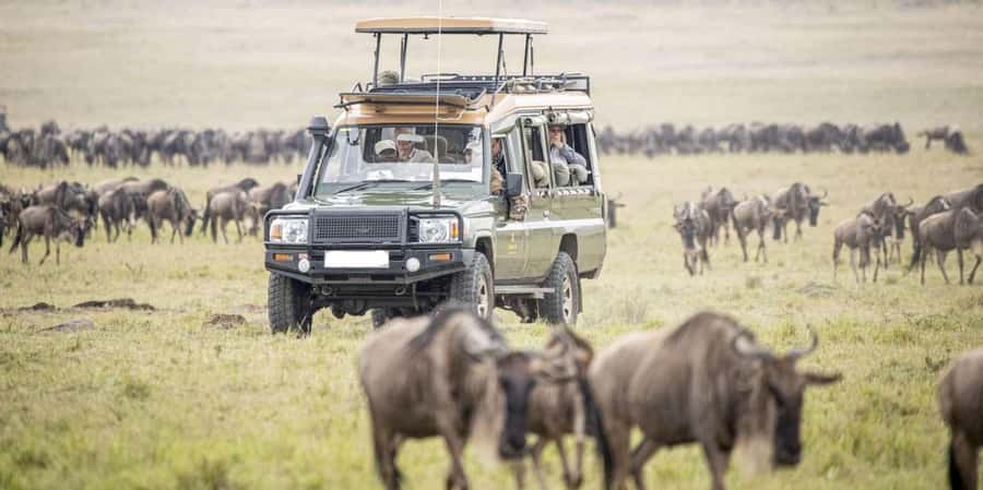 3Days Masai Mara Safari with Hot Air Balloon Ride Experience - The Evening Drive and Sunset Return