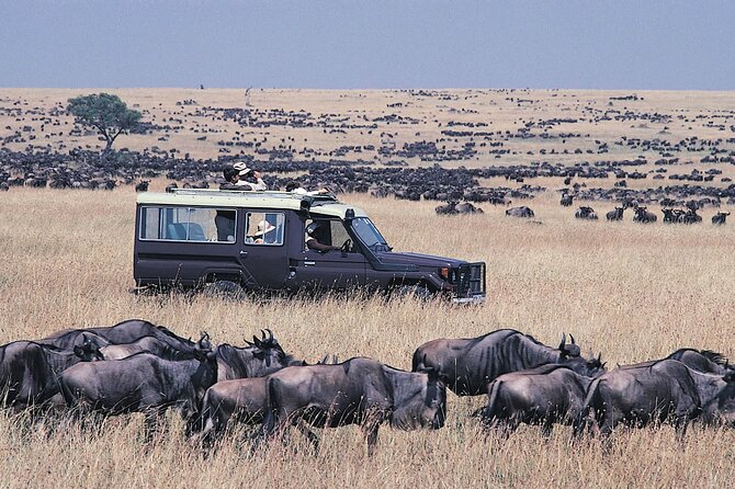 4 day Group Safari To Maasai Mara and L. Nakuru Park by 4x4 jeep - Day Four: White Rhinos and the Return to Nairobi
