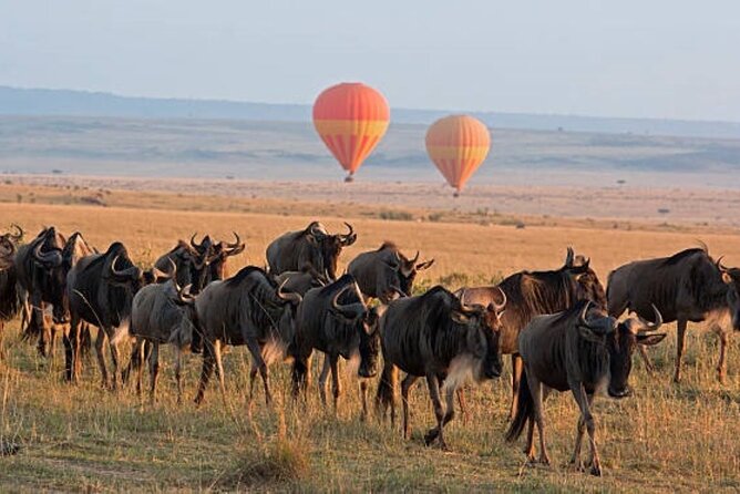 4 Day Group Tour to Maasai Mara and Lake Nakuru by a 4WD Cruiser - Day four: white rhinos, flamingos, and Makalia Waterfalls