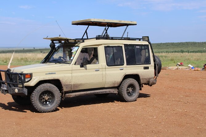 4 Day Group Tour to Maasai Mara and Lake Nakuru by a 4WD Cruiser - Who will get the most from this safari?