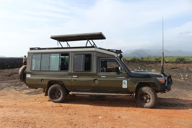 4-Day Maasai Mara and Lake Nakuru Safari from Nairobi - Who should book this safari?