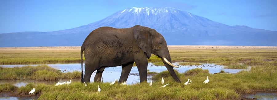 4-Day Maasai Mara & Lake Nakuru Camping Safari on a 4x4 Jeep - Who should book this safari?