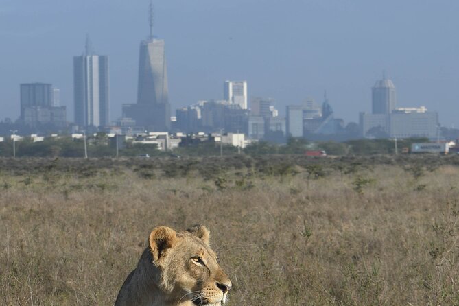 4-Day Masai Mara and Lake Nakuru safari from Nairobi. - Who should book this safari?