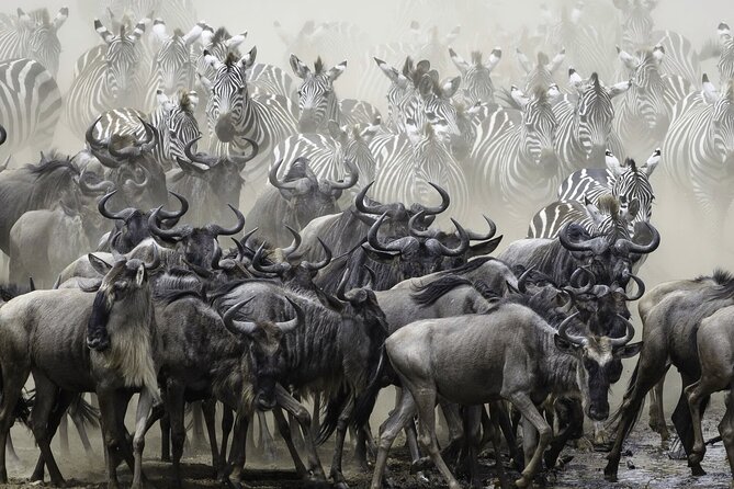 4-Day Masai Mara and Lake Nakuru Safari Tour from Nairobi - What $1,690 includes and whether it offers fair value