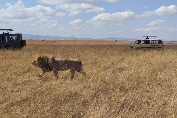 4-Day Masai Mara, L Naivasha and L Nakuru Safari - A practical four-day safari from Nairobi