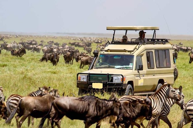 4 Day Masai Mara & Lake Nakuru Group Joining Camping Safari - Daily Departures - Why this four-day route works
