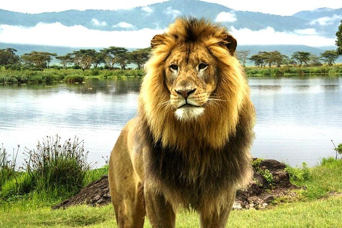 4 Day Masai Mara & Lake Nakuru Group Joining Camping Safari - Daily Departures - Day 2: A full day beside the Mara River