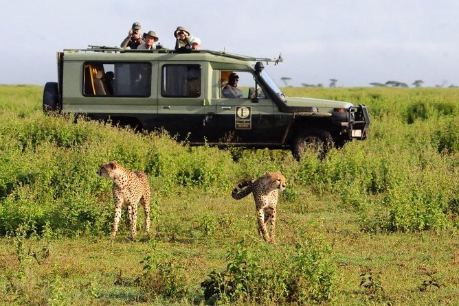 4 Day Masai Mara & Lake Nakuru Group Joining Camping Safari - Daily Departures - Day 3: Leaving the Mara for Lake Nakuru