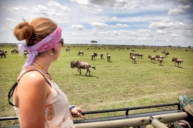 4 Day Masai Mara & Lake Nakuru Group Joining Camping Safari - Daily Departures - The guides make the biggest difference