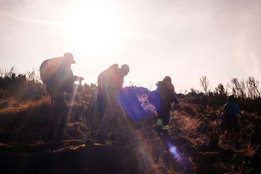 4-Day Mount Kenya: Sirimon Route Thrilling Hike - Key Points Before You Book