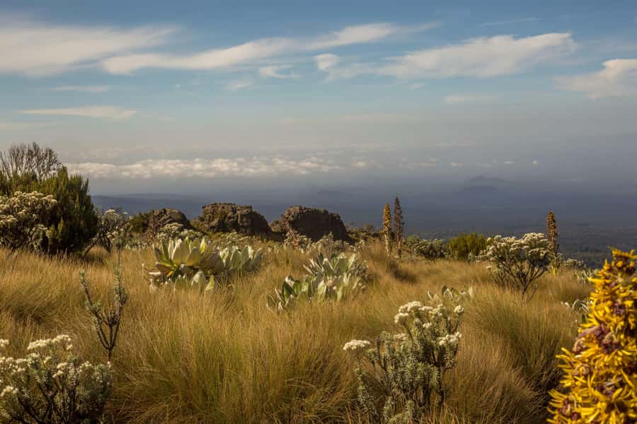 4-Day Mount Kenya: Sirimon Route Thrilling Hike - Day 1: Nairobi to Sirimon Gate and Old Moses Camp