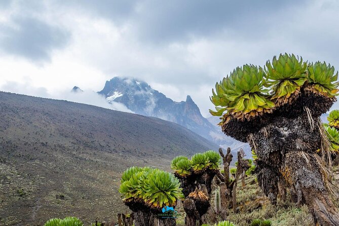 4 Day Mount Kenya Trek Up Chogoria Down Sirimon - Guide support and the feel of the trip