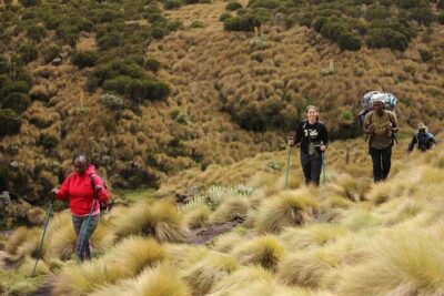 4-Day Mount Kenya Trekking with Pick Up