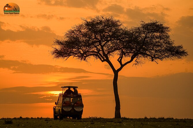 4-Day Private Masai Mara Kenya Safari Tour - Key points at a glance