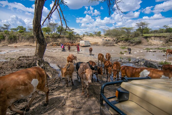 4-Day Private Masai Mara Kenya Safari Tour - Day 4: One last choice before Nairobi