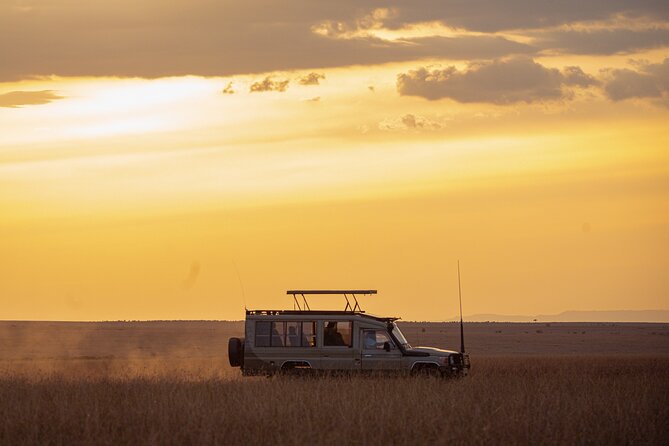 4-Day Private Masai Mara Kenya Safari Tour - Why the private setup matters