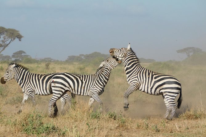 4 Day Private Masai Mara National Reserve & Lake Nakuru National Park Safari - What the $1,059.24 price really means