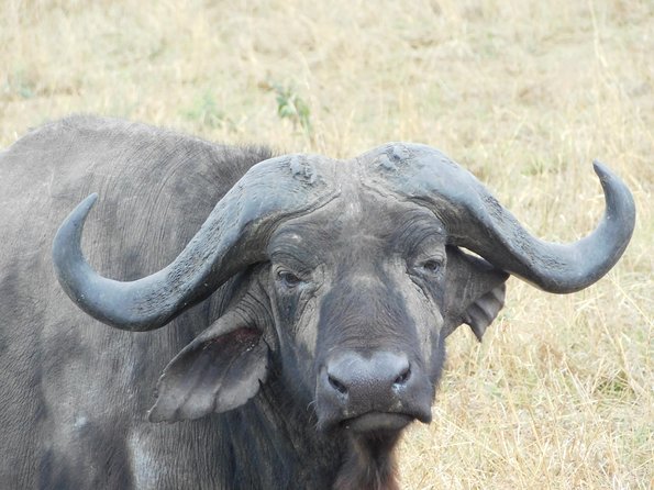 4 Day Private Masai Mara National Reserve & Lake Nakuru National Park Safari - Day one: Nairobi to Lake Nakuru through the Great Rift Valley