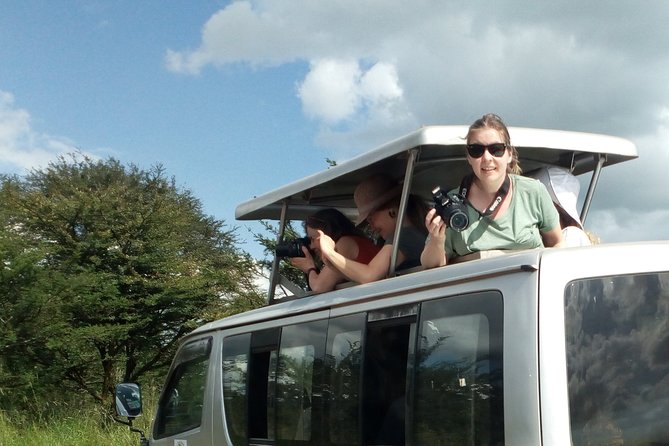 4-Day Tsavo East West and Amboseli National Park from Mombasa - Lodges, meals, and the comfort question