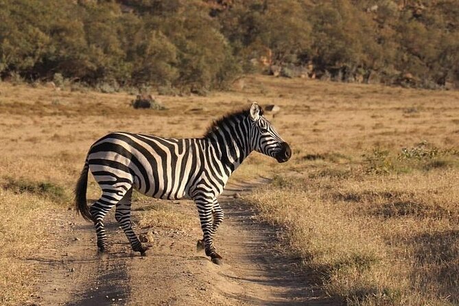 4 Days 3 Nights Masai Mara and Lake Nakuru Group Joining Safari - What The Mara Can and Cannot Promise