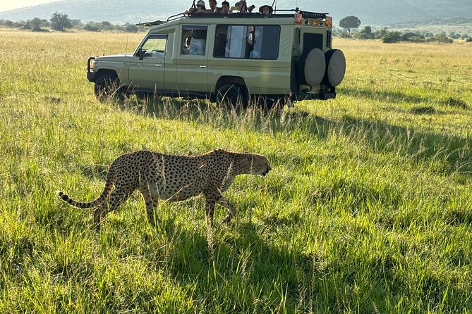 4 Days 4WD Private Maasai Mara, Nakuru Parks with Lodge LUXURY - What $1,499 buys you on this Kenya safari