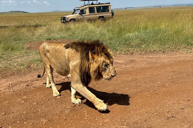 4 Days 4WD Private Maasai Mara, Nakuru Parks with Lodge LUXURY - A Maasai village before Lake Nakuru