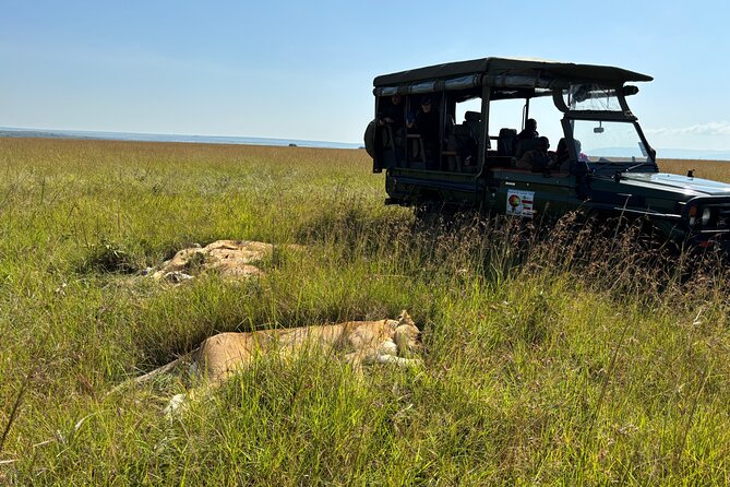 4 Days 4WD Private Maasai Mara, Nakuru Parks with Lodge LUXURY - The final morning at Lake Nakuru